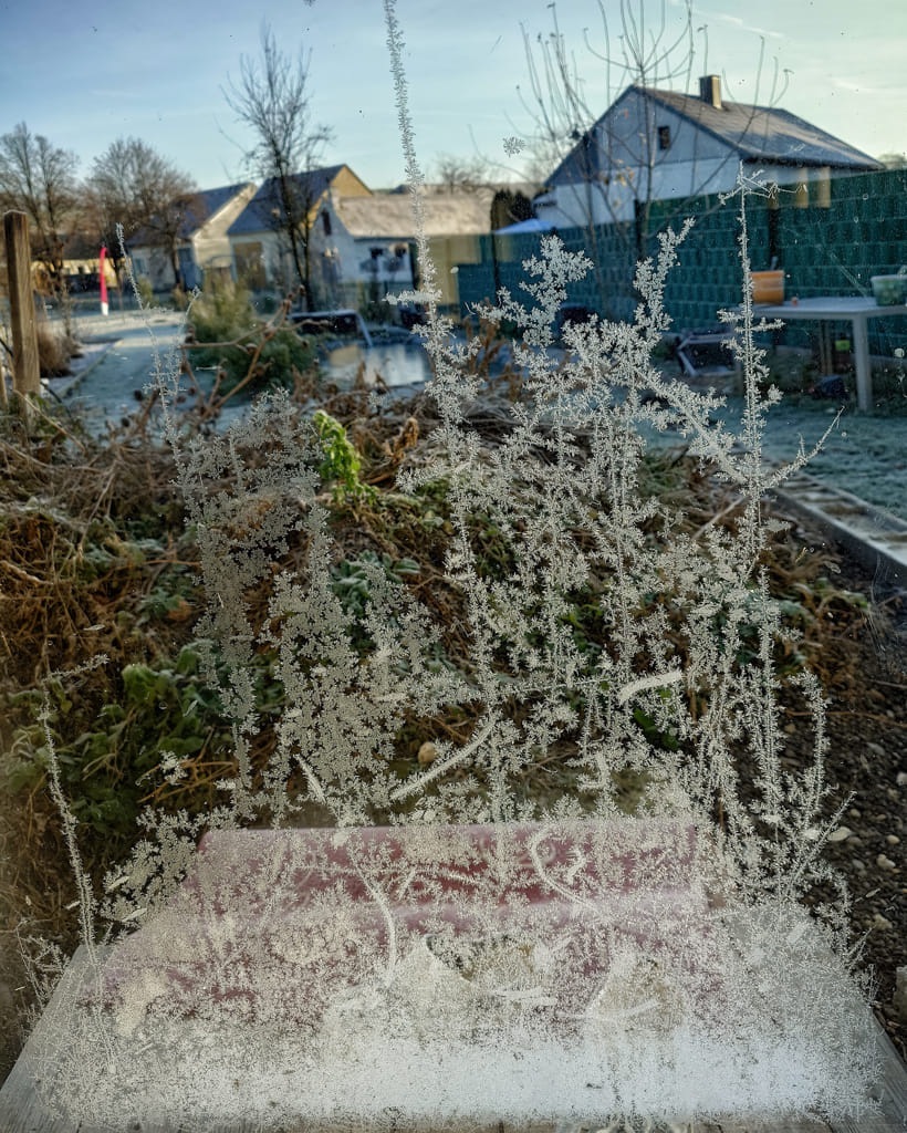 20241226_094833