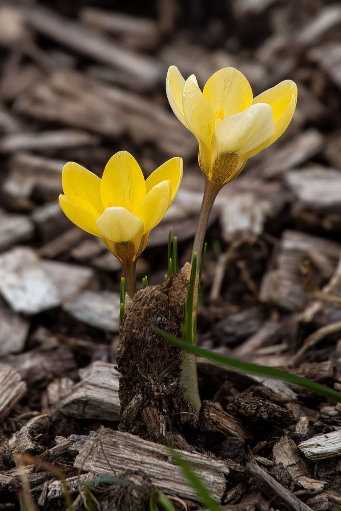 20230310_135100_DSC00614_dng