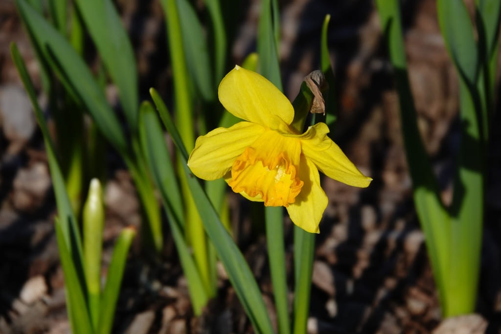 20230401_085155_DSC00630