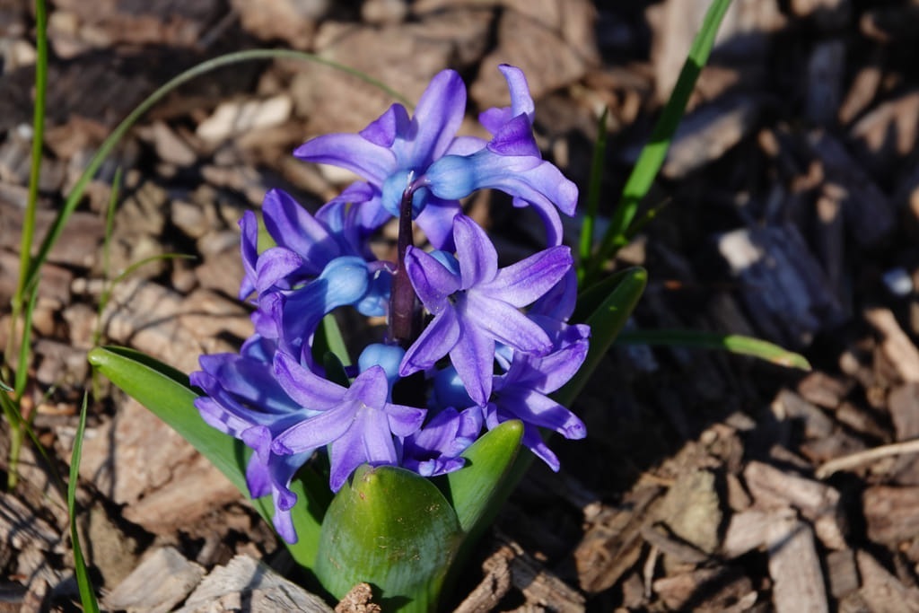 20230401_085218_DSC00634