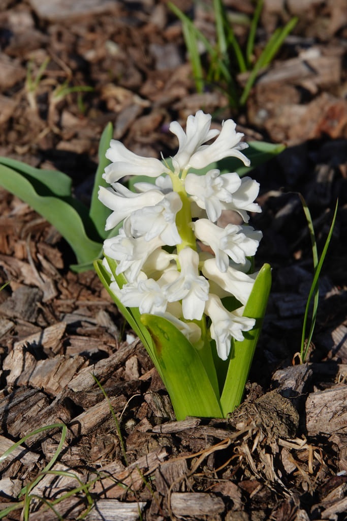 20230401_085231_DSC00635