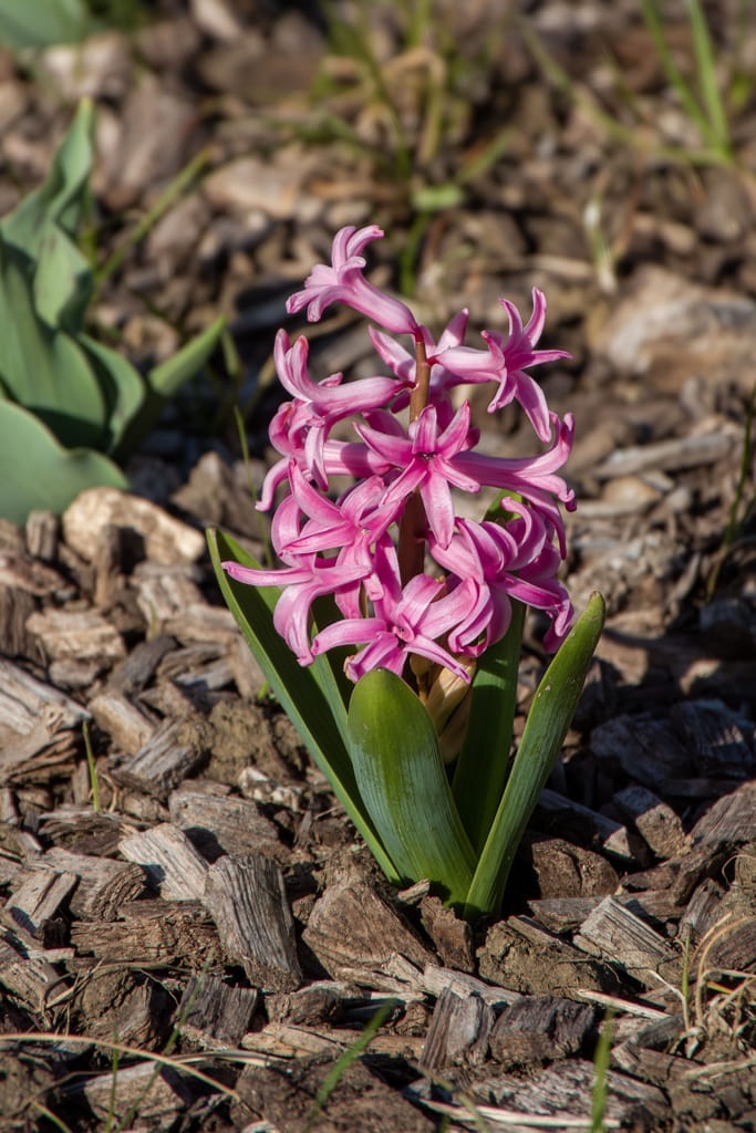 20230401_085252_DSC00639_arw