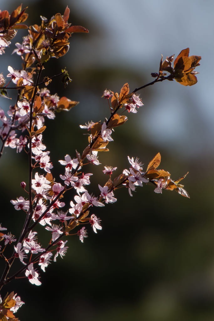 20230401_085606_DSC00655_arw