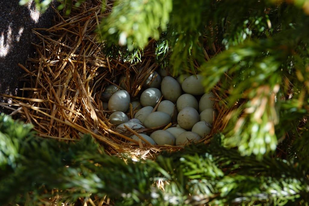 20230401_090003_DSC00665