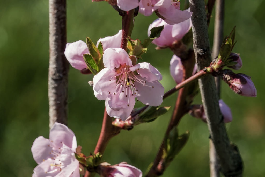 DSC02983_re