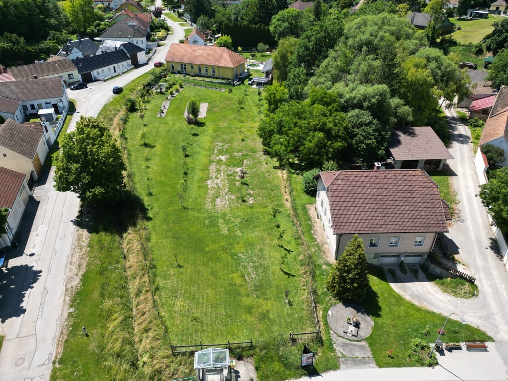 DJI_0253