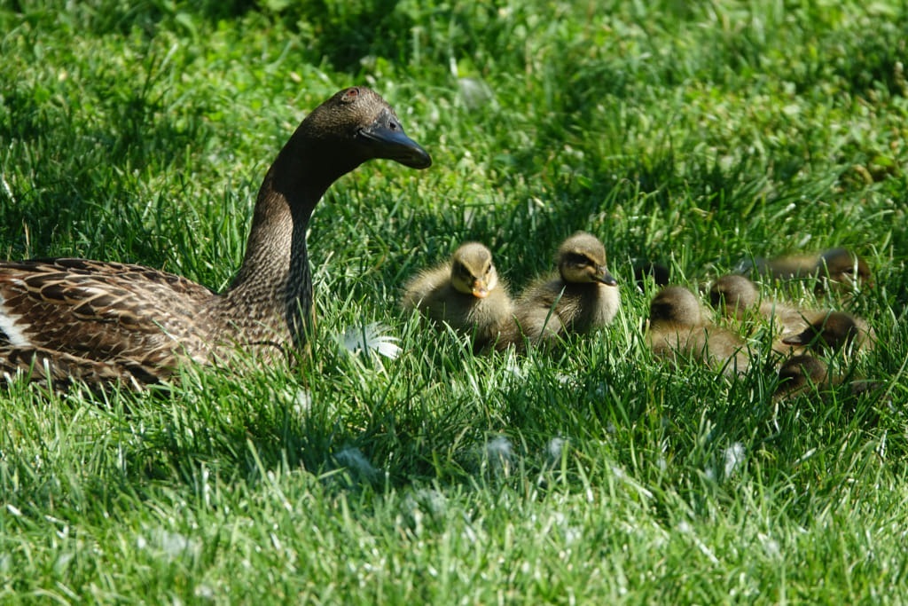 20250811_131449_DSC03007