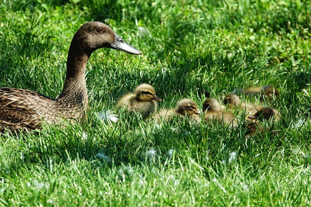 20250811_131453_DSC03008