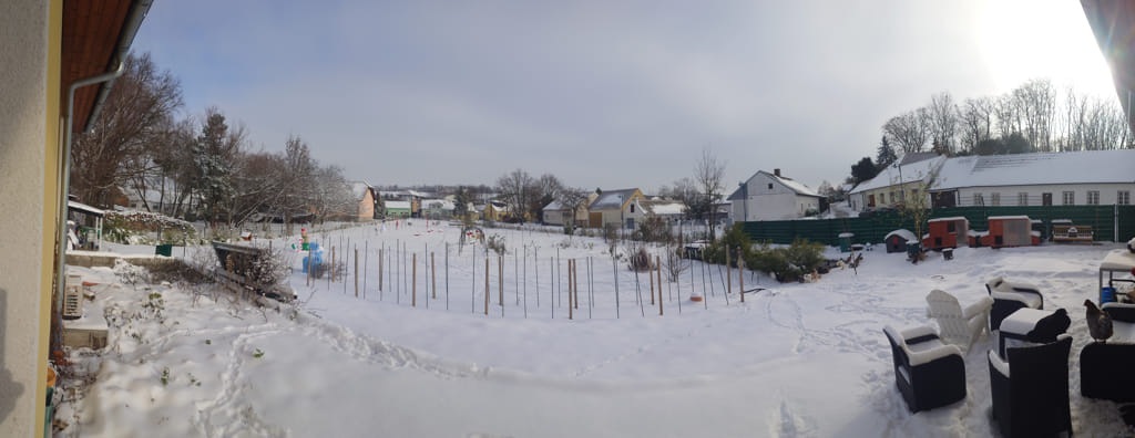 20251123_103520_DSC_0001